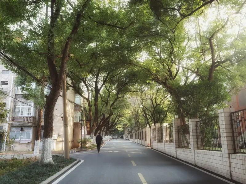 连锁品牌陈列手册编制要点:从视觉设计到终端落地的全流程解析